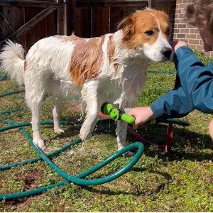 TidyPup Washer